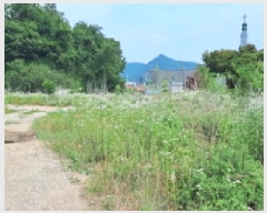  2025Ÿ63336  ֽ  ߸ 29-3      ()