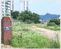  2025Ÿ63336  ֽ  ߸ 29-3      ()