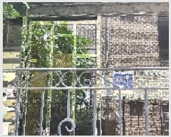  2025Ÿ��63373 ��� ���ֽ� �͵��� 1654-1       �ܵ�����,�����ð��