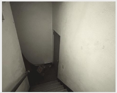  2025Ÿ��63551 ��� ����� �ϻ꼭�� ��ȭ�� 2183-10      �ܵ�����,�����ð��