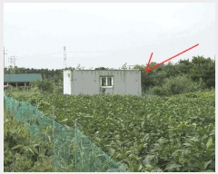  2025Ÿ��63662 ��� ����� �ϻ굿�� ���׵� 610-10      ���ð��