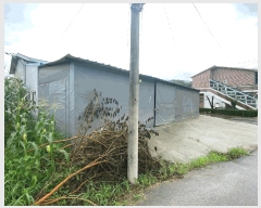  2025Ÿ��63663  �ٸ��ü����