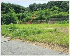  2025Ÿ��63780 ��� ����� ���籸 ���굿 56-181      ����(�Ӿ�)���