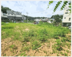  2025Ÿ��63780 ��� ����� ���籸 ���굿 56-181      ����(�Ӿ�)���