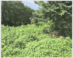  2025Ÿ��63859 ��� ����� ���籸 ���ڵ� 610-8      ����(��1)���