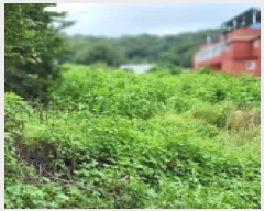  2025Ÿ��63859 ��� ����� ���籸 ���ڵ� 610-8      ����(��1)���