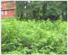  2025Ÿ��63859 ��� ����� ���籸 ���ڵ� 610-8      ����(��1)���