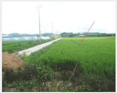  2025Ÿ��63893 ��� ���ֽ� ���ٻ굿 984       ����(��)���