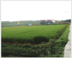  2025Ÿ��63893 ��� ���ֽ� ���ٻ굿 984       ����(��)���