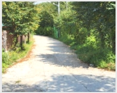  2025Ÿ��63932  ������