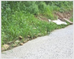  2025Ÿ��63957 ��� ���ֽ� ��ź�� ��긮 522-9      ���ð��