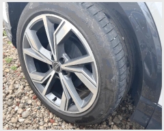  2025Ÿ64056  ֽ  ɾȸ 239      