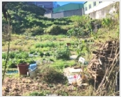  2025Ÿ��64266 ��� ���ֽ� ź���� ���︮ 178-6      ����(��1)���