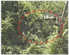  2025Ÿ��64266 ��� ���ֽ� ź���� ���︮ 178-6      ����(��1)���