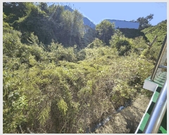  2025Ÿ��64266 ��� ���ֽ� ź���� ���︮ 178-6      ����(��1)���