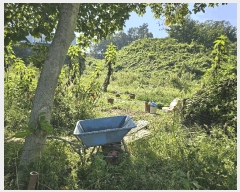  2025Ÿ��64266 ��� ���ֽ� ź���� ���︮ 178-6      ����(��1)���