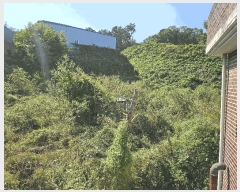  2025Ÿ��64266 ��� ���ֽ� ź���� ���︮ 178-6      ����(��1)���