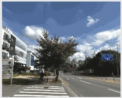  2025Ÿ��64438  �ټ���(����)���