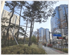  2025Ÿ��64515 ��� ����� ���籸 ������ 686 �𿥾����̴����� 102�� 11��1101ȣ   ����Ʈ���