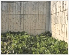  2025Ÿ��64556  �������