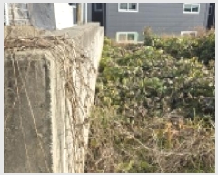  2025Ÿ��64556  �������