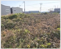  2025Ÿ��64556  �������