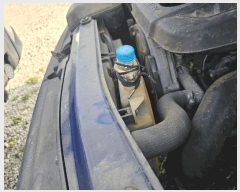  2025Ÿ��64626 ��� ���ֽ� ������ �ɾȸ� 239 ����������     �������