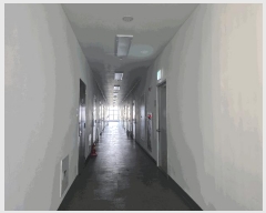  2025Ÿ��64917 ��� ���ֽ� �͵��� 1498 �����������ɸ�� 7��709ȣ     ���ǽ��ڰ��