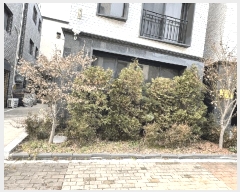  2025Ÿ��65021 ��� ���ֽ� ���е� 2038-2       �ٰ������ð��