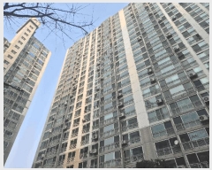  2025Ÿ��65184  ����Ʈ���