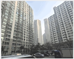  2025Ÿ��65184  ����Ʈ���