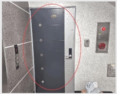  2025Ÿ��65254  �ټ���(����)���