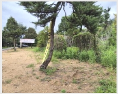  2025Ÿ��2220  �ٸ��ü����