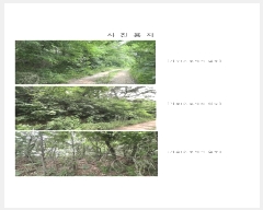  2025Ÿ2930  ֽ   342-19      (Ӿ)