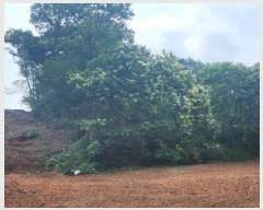  2025Ÿ2930  ֽ   342-19      (Ӿ)