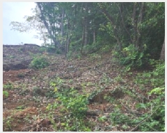  2025Ÿ2930  ֽ   342-19      (Ӿ)