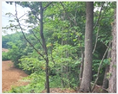  2025Ÿ2930  ֽ   342-19      (Ӿ)