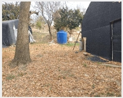  2025Ÿ62646   籸 ε 400      ()