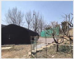  2025Ÿ62646   籸 ε 400      ()