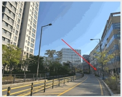  2025Ÿ62905   籸 ⵿ 506 īĳ 02ȣ    ,繫ǰ