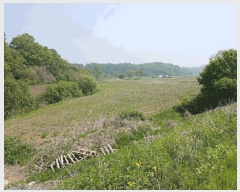  2025Ÿ62972  ֽ  ڸ 611-2      (1)