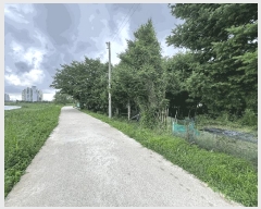  2025Ÿ63399  ֽ  õ 99-11      ()