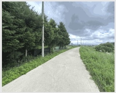  2025Ÿ63399  ֽ  õ 99-11      ()