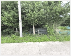  2025Ÿ63399  ֽ  õ 99-11      ()