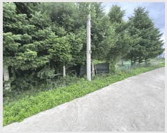  2025Ÿ63399  ֽ  õ 99-11      ()