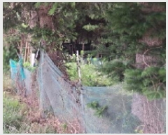  2025Ÿ63399  ֽ  õ 99-11      ()