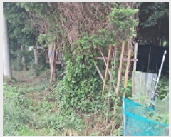  2025Ÿ63399  ֽ  õ 99-11      ()