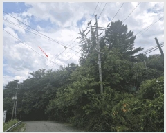  2025Ÿ63595   籸 ڵ 103      (Ӿ)