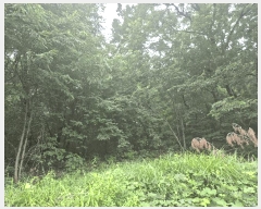  2025Ÿ63595   籸 ڵ 103      (Ӿ)