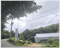  2025Ÿ63595   籸 ڵ 103      (Ӿ)